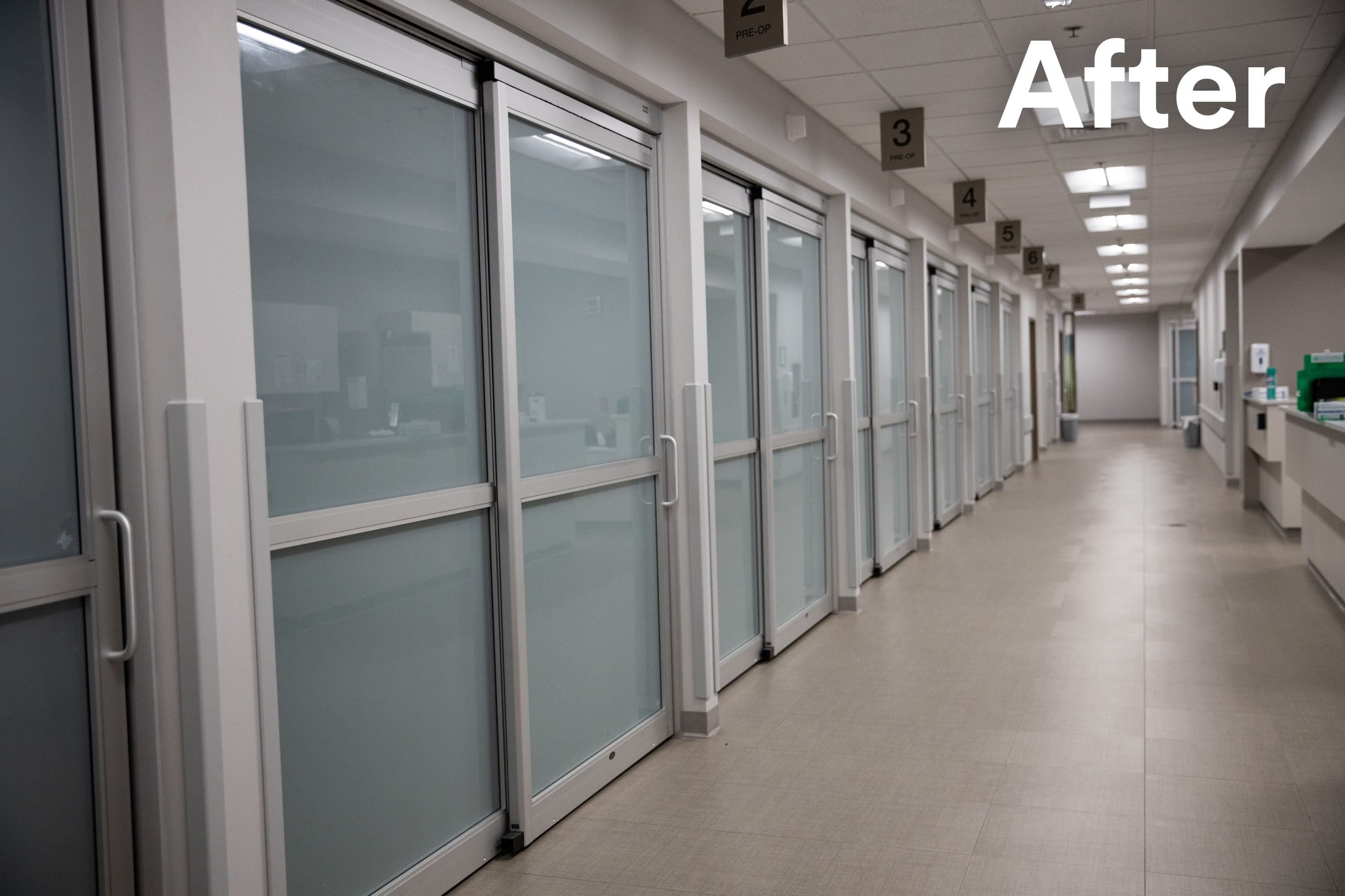 frost window film