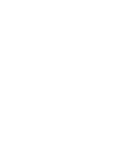 Vector 1