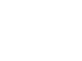 Vector 2