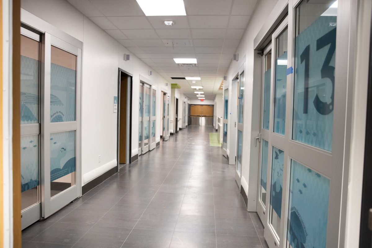 Decorative Window Film for Bloomington-Normal Medical Offices 12 decorative window film in medical offices in Bloomington