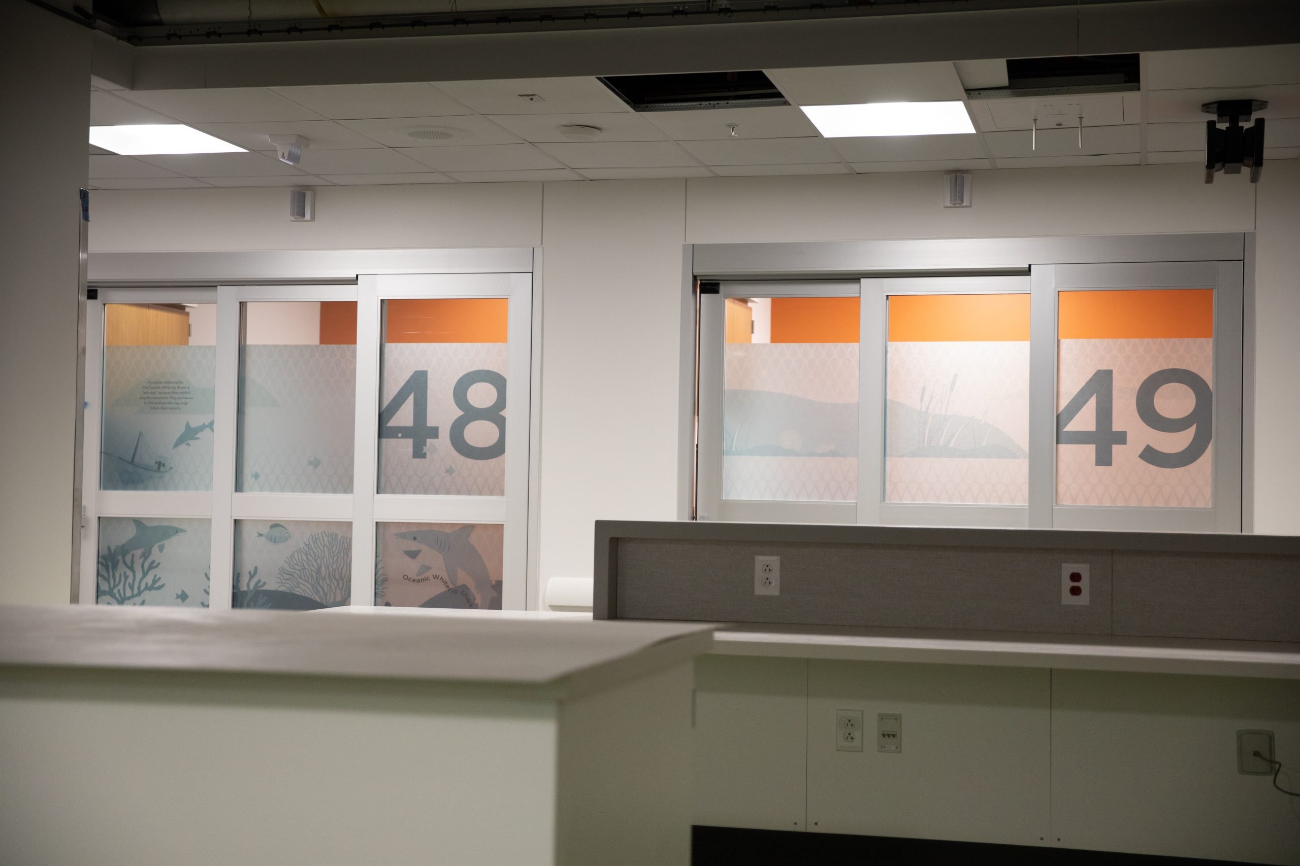 decorative window film Bloomington medical offices