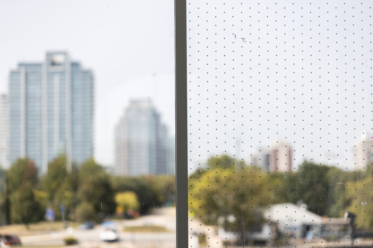 Commercial window with bird deterrent film overlooking a city landscape